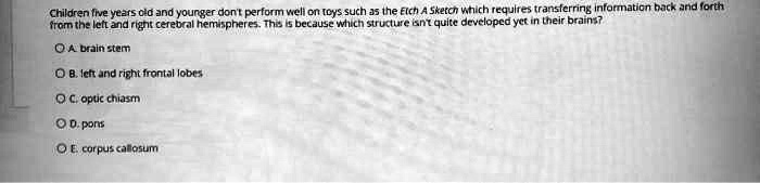 Children five years old and younger don't perform well on toys such as the Etch A Sketch which requires transferring information back and forth from the left and right cerebral hemispheres. This is because which structure isn't quite developed yet in their brains?
A. brain stem
B. left and right frontal lobes
C. optic chiasm
D. pons
E. corpus callosum
