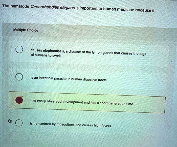 SOLVED: The nematode Caenorhabditis elegansis important to human