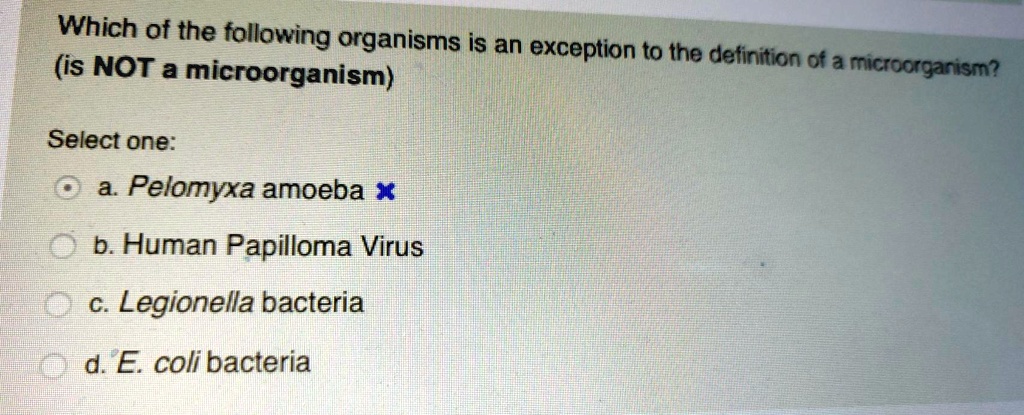 Which of the following organisms is an exception to the definition of a microorganism? (is NOT a microorganism)
Select one:
a. Pelomyxa amoeba
b. Human Papilloma Virus
c. Legionella bacteria
d. E. coli bacteria