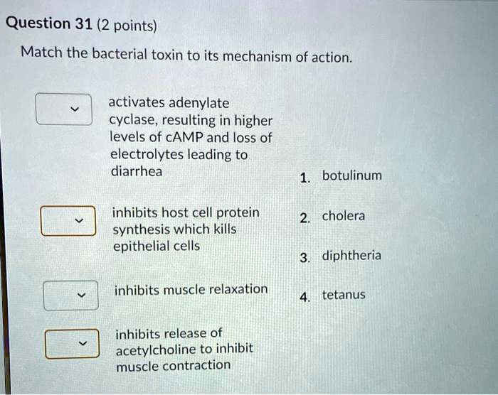 SOLVED Question 31 (2 points) Match the bacterial toxin to its