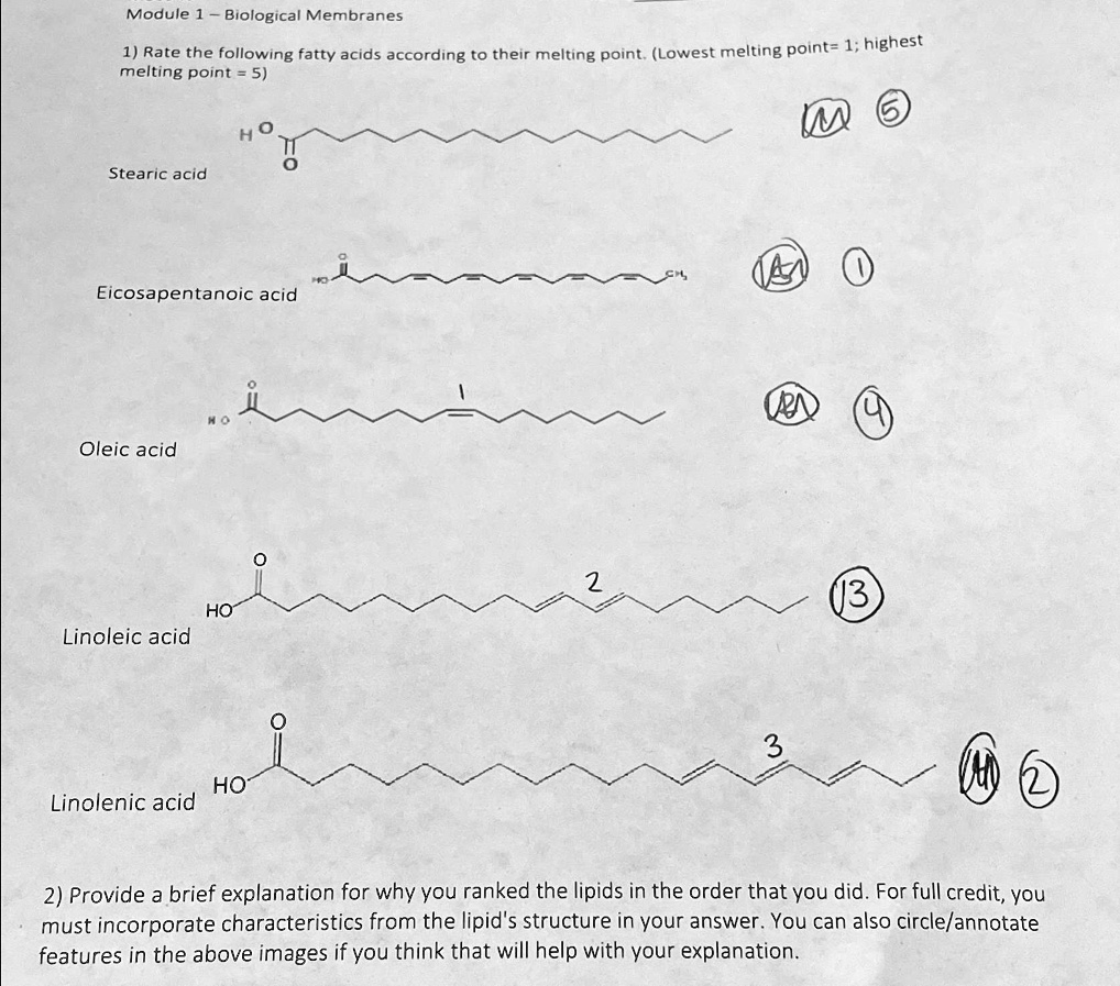SOLVED Module 1 Biological Membranes Rate the following fatty acids