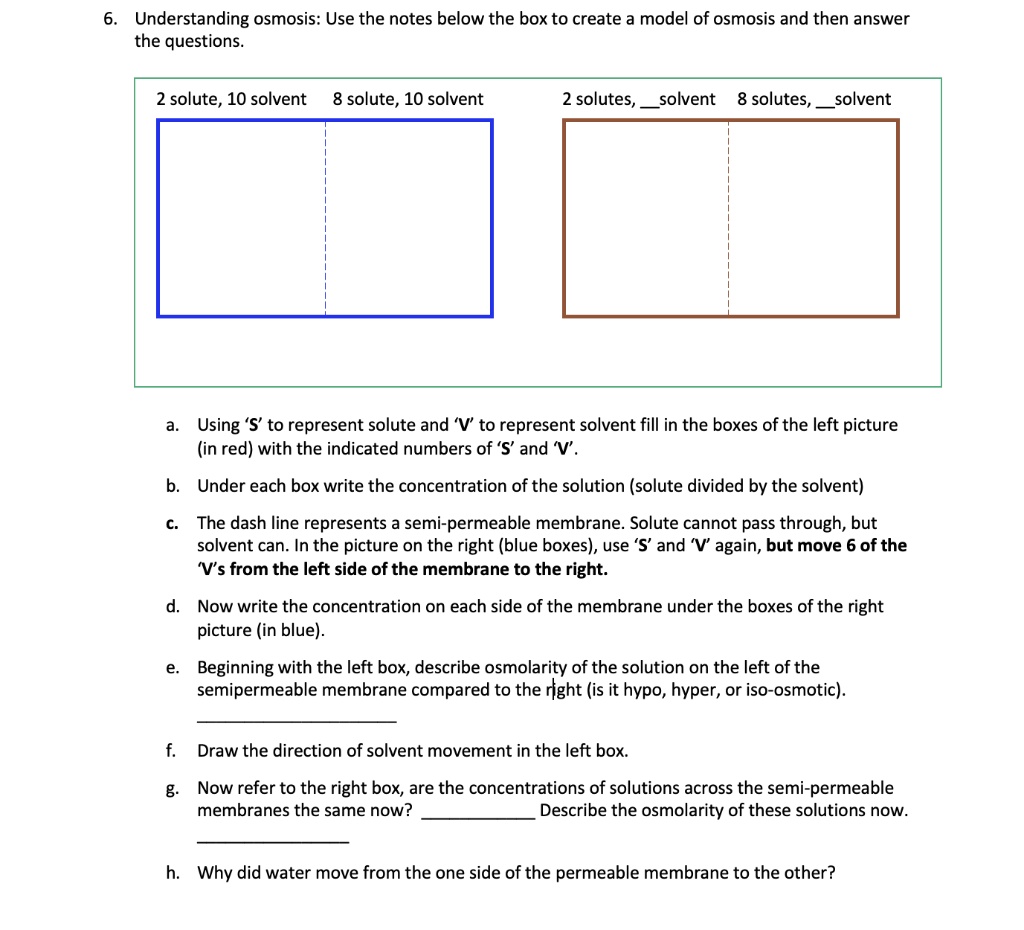 6. Understanding osmosis: Use the notes below the box to create a model ...