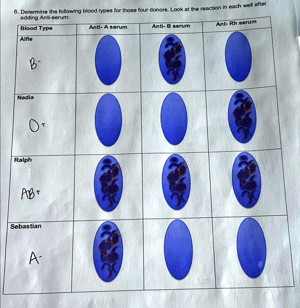 solved-determine-the-following-blood-types-for-those-four-donors-look-at-the-reaction-in-each