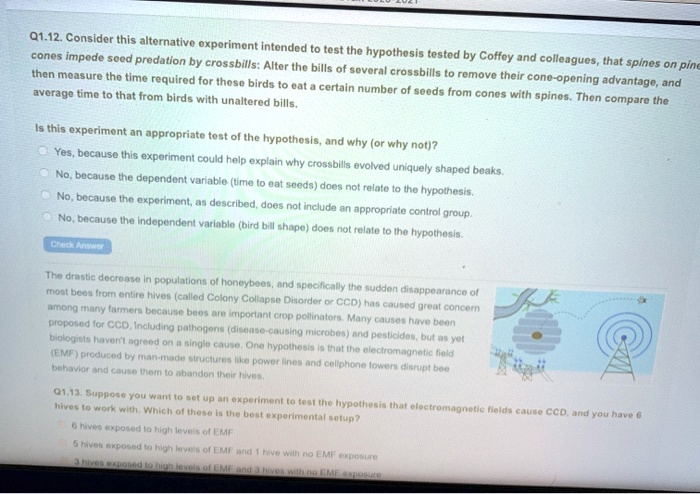 q112 consider this alternative exporiment intonded t0 cones test the impede socd hypothesis tested by coffoy and predalion by crossbills alter the bills of sovoral colleagues that spincs on 06818