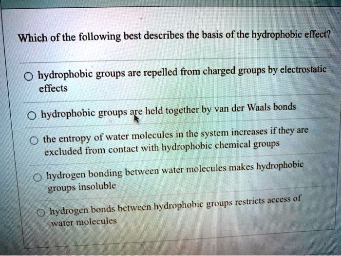 Which of the following best describes the basis of the hydrophobic effect?

hydrophobic groups are repelled from charged groups by electrostatic effects
hydrophobic groups are held together by van der Waals bonds
the entropy of water molecules in the system increases if they are excluded from contact with hydrophobic chemical groups
hydrogen bonding between water molecules makes hydrophobic groups insoluble
hydrogen bonds between hydrophobic groups restricts access of water molecules