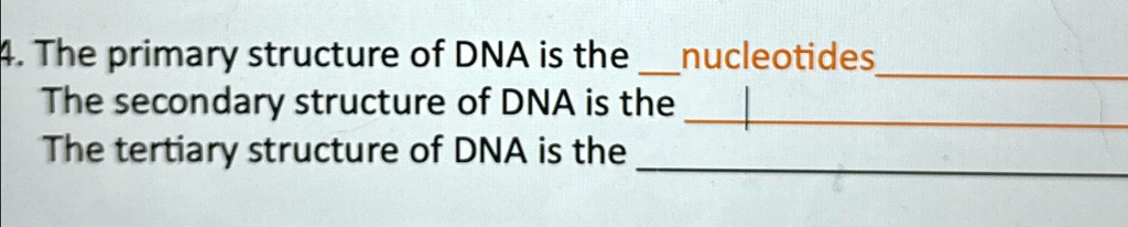 4. The primary structure of DNA is the nucleotides The secondary ...