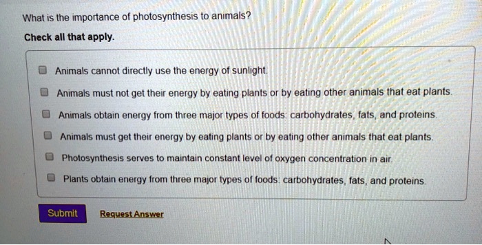 SOLVED: What is the importance of photosynthesis to animals? Check all that  apply: Animals cannot directly use the energy of sunlight Animals must not  get their energy by eating plants or by