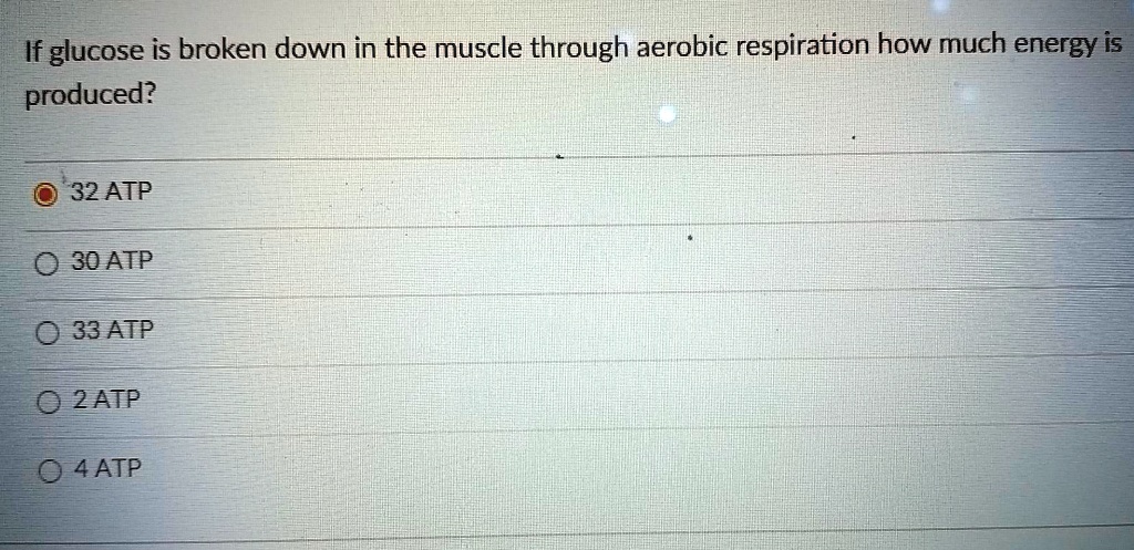 Solved: If Glucose Is Broken Down In The Muscle Through Aerobic 