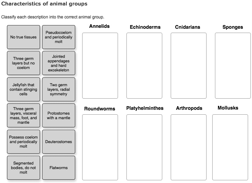 SOLVED: Characteristics of animal groups. Classify each description