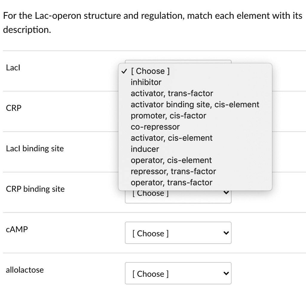 Lac Operon Description