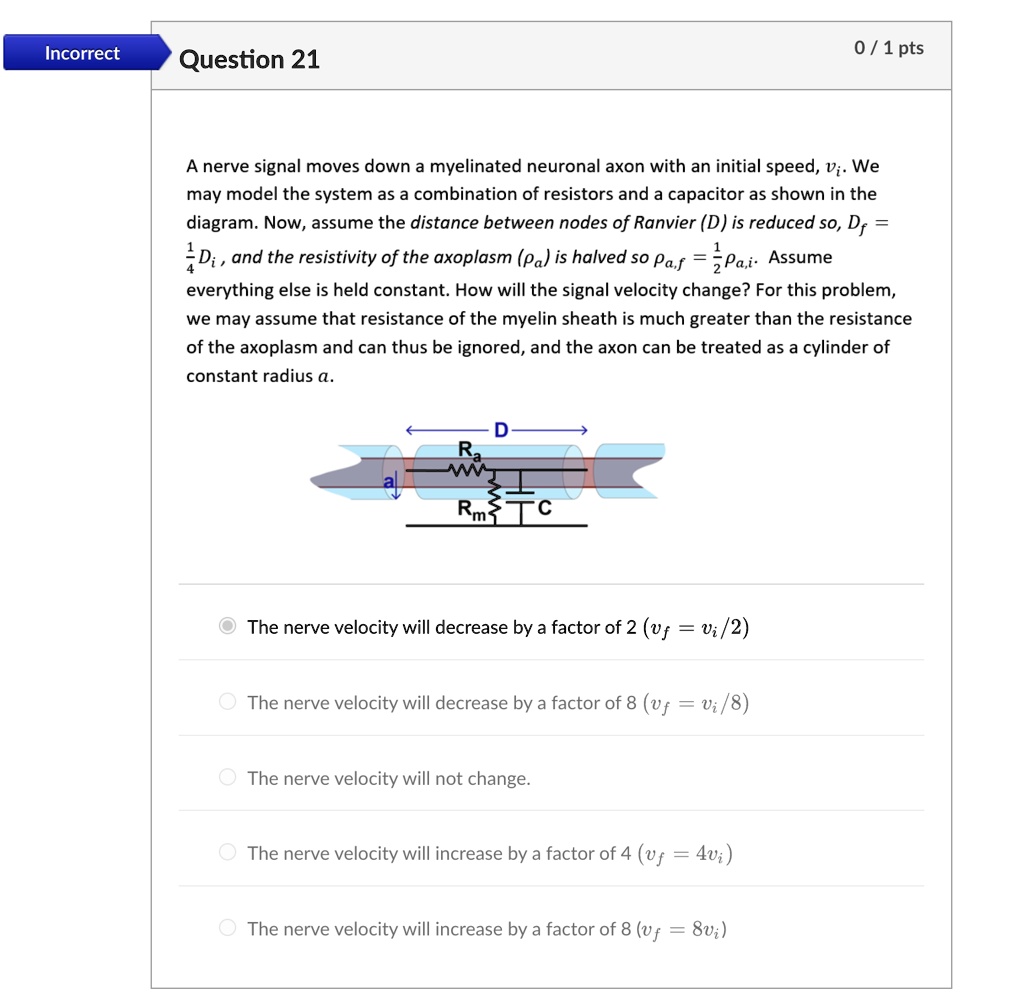 incorrect question 21 01 pts 1 a nerve signal moves down a myelinated neuronal axon with an initial speed vi we may model the system as a combination of resistors and a capacitor as shown in 17837