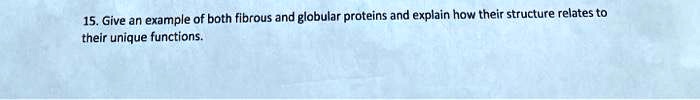15. Give an example of both fibrous and globular proteins and explain how their structure relates to their unique functions.