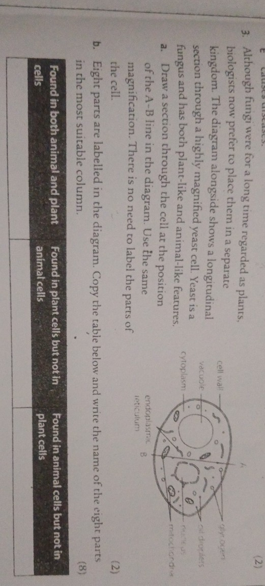 3. Although fungi were for a long time regarded as plants. biologists ...