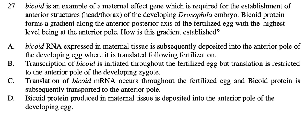 SOLVED: 27. bicoid is an example of a maternal effect gene which is