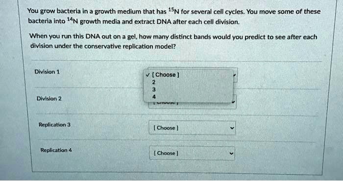 solved-you-grow-bacteria-in-a-growth-medium-that-has-15n-for-several