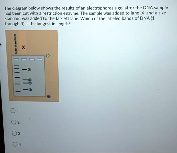 SOLVED: The diagram below shows the results of an ...