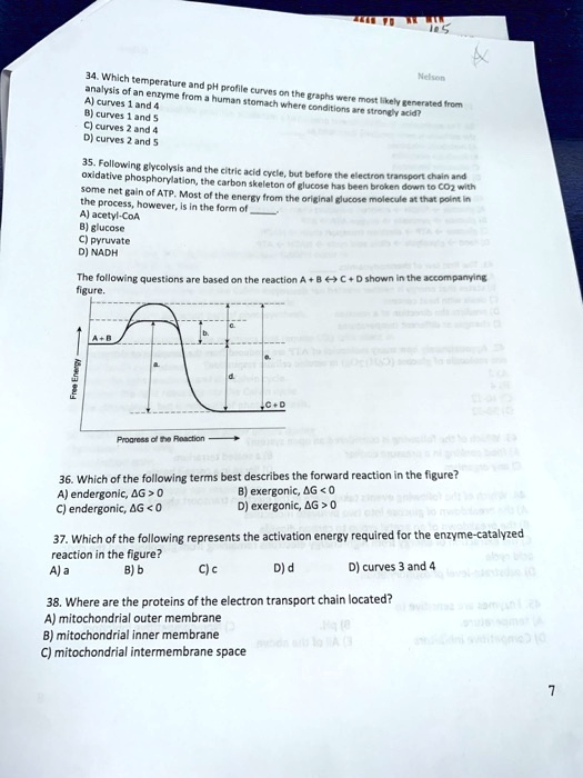 34. Which temperature and pH profile curves on the graphs were most likely generated from analysis of an enzyme from a human stomach where conditions are strongly acid?
A) curves 1 and 4
B) curves 1 and 5
C) curves 2 and 4
D) curves 2 and 5

35. Following glycolysis and the citric acid cycle, but before the electron transport chain and oxidative phosphorylation, the carbon skeleton of glucose has been broken down to CO2 with some net gain of ATP. Most of the energy from the original glucose molecule at that point in the process, however, is in the form of .
A) acetyl-CoA
B) glucose
C) pyruvate
D) NADH

The following questions are based on the reaction A + B ? C + D shown in the accompanying figure.

36. Which of the following terms best describes the forward reaction in the figure?
A) endergonic, ?G > 0
B) exergonic, ?G < 0
C) endergonic, ?G < 0
D) exergonic, ?G > 0

37. Which of the following represents the activation energy required for the enzyme-catalyzed reaction in the figure?
A) a
B) b
C) c
D) d
D) curves 3 and 4

38. Where are the proteins of the electron transport chain located?
A) mitochondrial outer membrane
B) mitochondrial inner membrane
C) mitochondrial intermembrane space