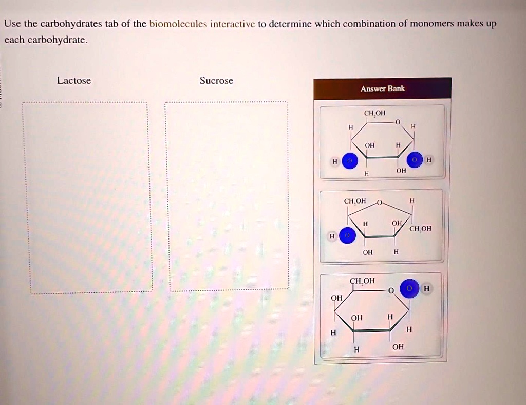 Polysaccharides | BI 101, image size:1024x788