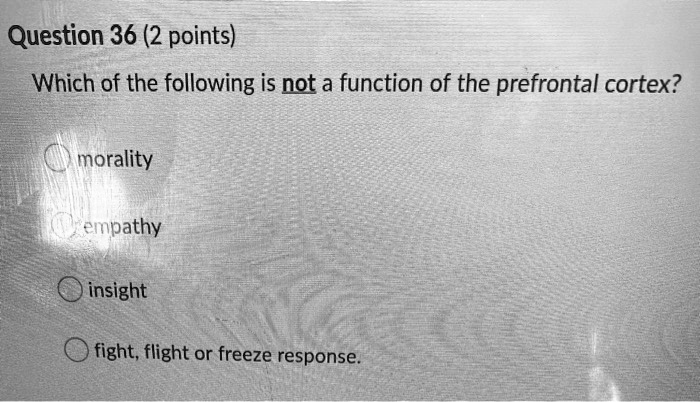 SOLVED: Question 36 (2 points) Which of the following is not a function ...