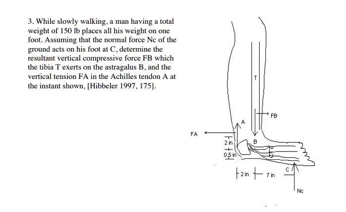 3while slowly walkinga man having a total weight of 150 lb places all ...