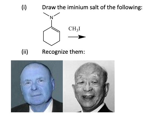 SOLVED: Draw The Iminium Salt Of The Following: CH;l Recognize Them: