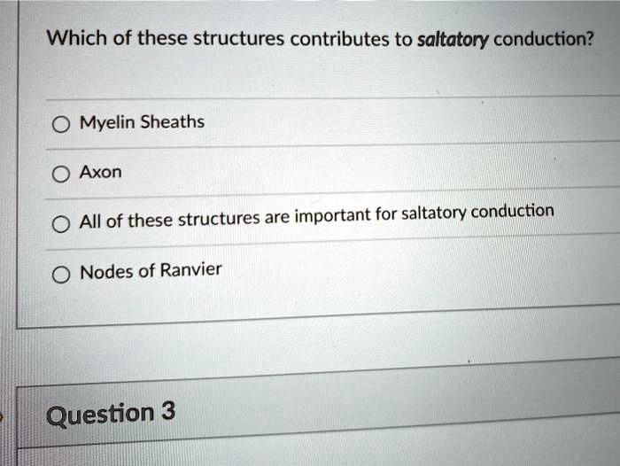 Which of these structures contributes to saltatory conduction?
Myelin Sheaths
Axon
All of these structures are important for saltatory conduction
Nodes of Ranvier