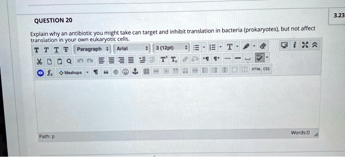 Explain why an antibiotic you might take can target and inhibit translation in bacteria (prokaryotes), but not affect translation in your own eukaryotic cells.