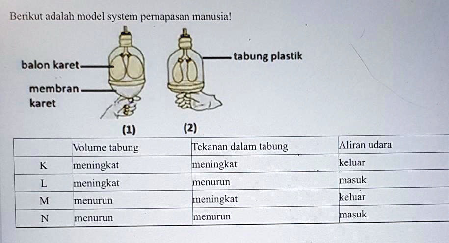 SOLVED: A. 2 Dan Lb. 1 Dan Nc. 2 Dan Md. 1 Dan K Berikut Adalah Model ...