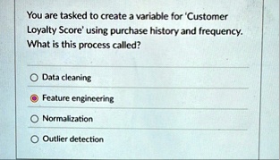 you are tasked to create a variable for customer loyalty score using ...