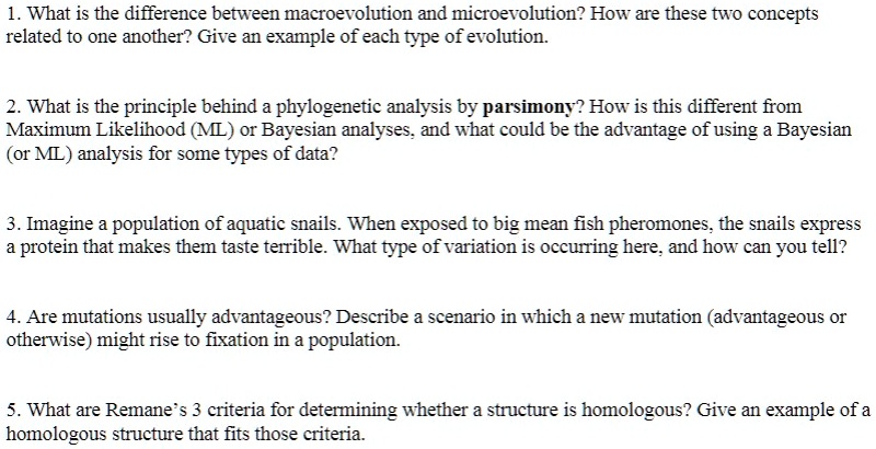 What is microevolution?