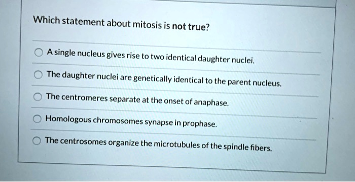 Which statement about mitosis is not true?

A single nucleus gives rise to two identical daughter nuclei.
The daughter nuclei are genetically identical to the parent nucleus.
The centromeres separate at the onset of anaphase.
Homologous chromosomes synapse in prophase.
The centrosomes organize the microtubules of the spindle fibers.