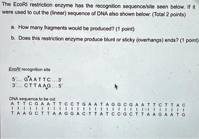 SOLVED: The EcoRI restriction enzyme has the recognition sequence site ...