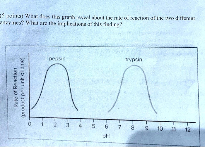 SOLVED: (5 points) What does this graph reveal about the rate of ...