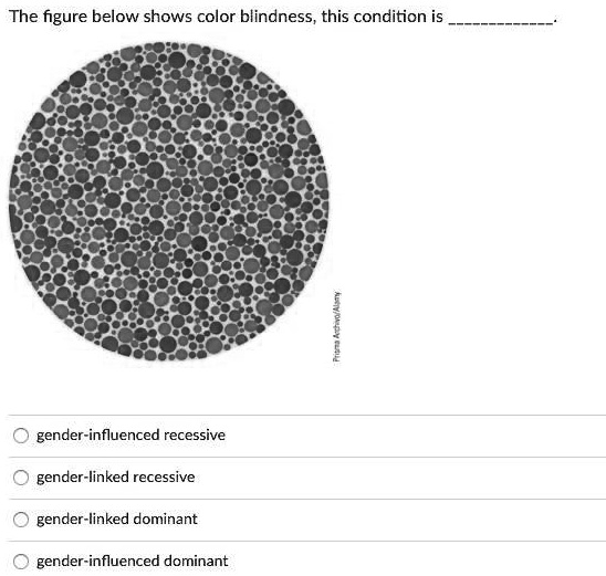 Solved The Figure Below Shows Color Blindness This Condition Is Gender I Influenced Recessive 