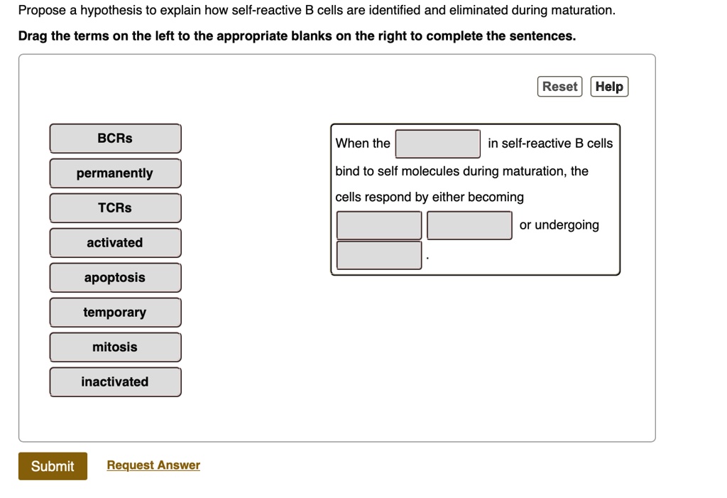 SOLVED: Propose A Hypothesis To Explain How Self-reactive B Cells Are ...