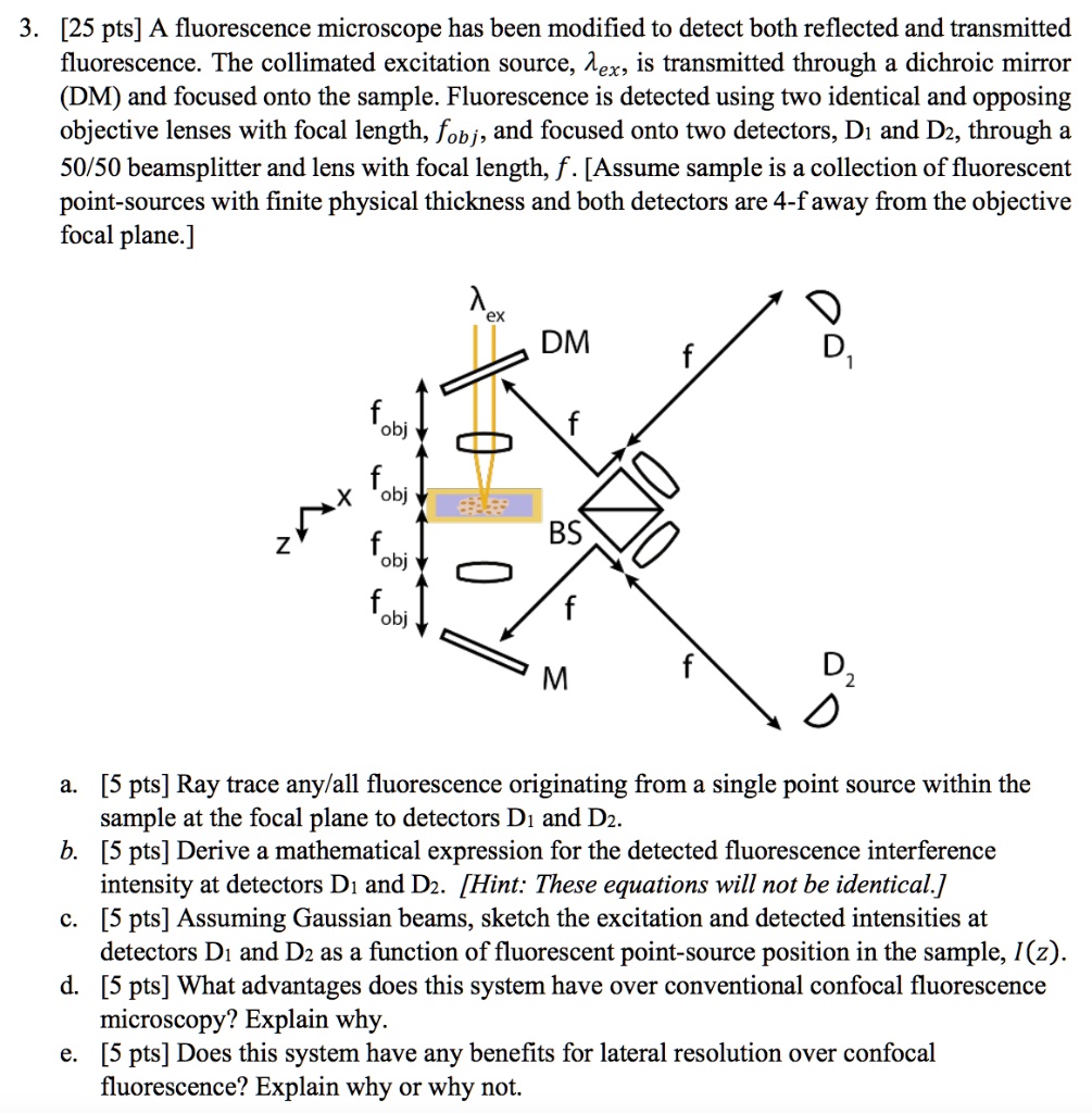 A fluorescence microscope has been modified to detect both reflected