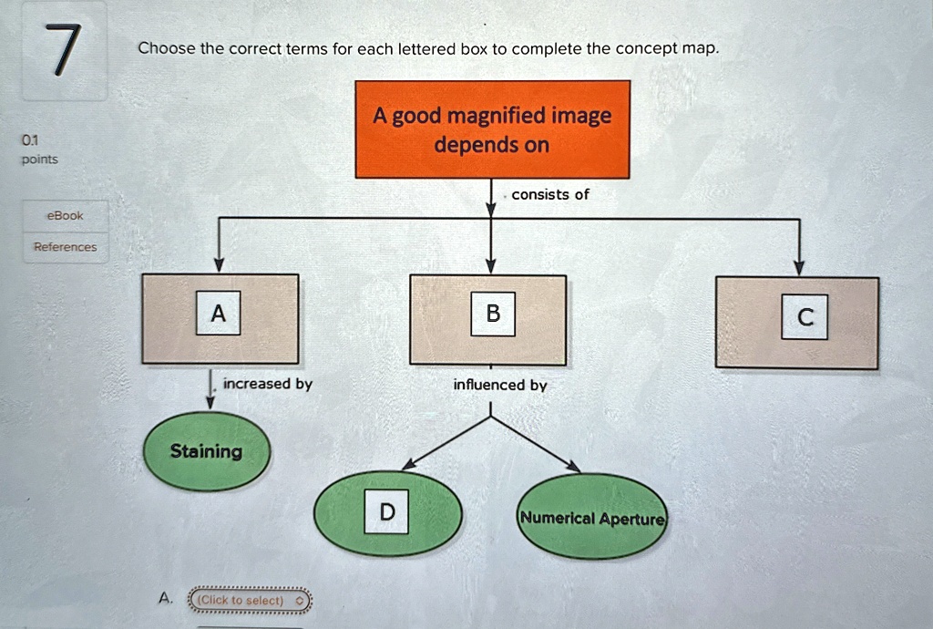 Correctness Concept Map 7 0.1 points Choose the correct terms for each lettered box to complete ...