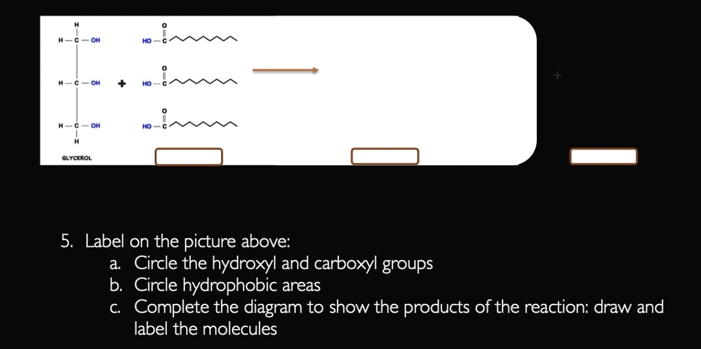 GLYCEROL 5. Label on the picture above: Circle the hydroxyl and ...