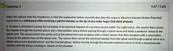 SOLVED: A receptor is stimulated, causing the formation of an