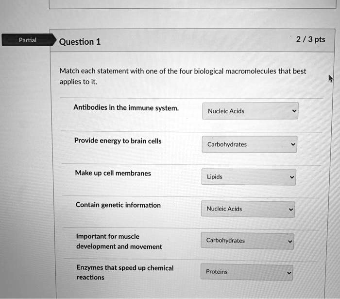 SOLVED Partial Question 1 2 / 3 pts Match each statement with one of