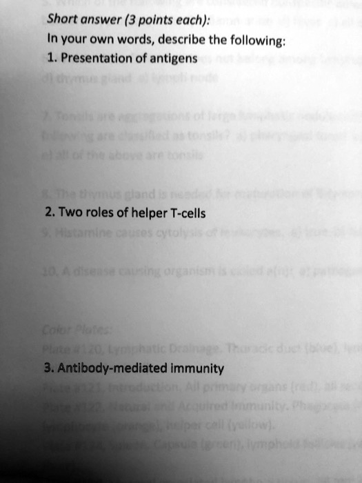 Short answer (3 points each):
In your own words, describe the following:
1. Presentation of antigens
2. Two roles of helper T-cells
3. Antibody-mediated immunity