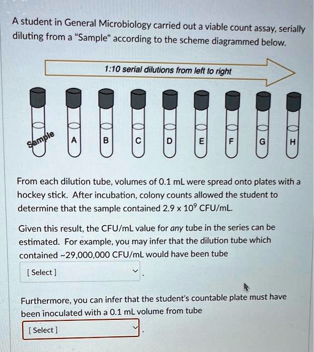 SOLVED A student in General Microbiology carried out a viable count