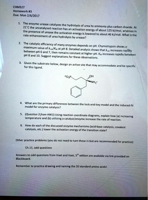 the enzyme urease catalyzes the hydrolysis of urea to ammonia plus ...