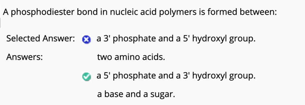 A phosphodiester bond in nucleic acid polymers is formed between:
Selected Answer: a 3' phosphate and a 5' hydroxyl group.
Answers: two amino acids.
a 5' phosphate and a 3' hydroxyl group.
a base and a sugar.