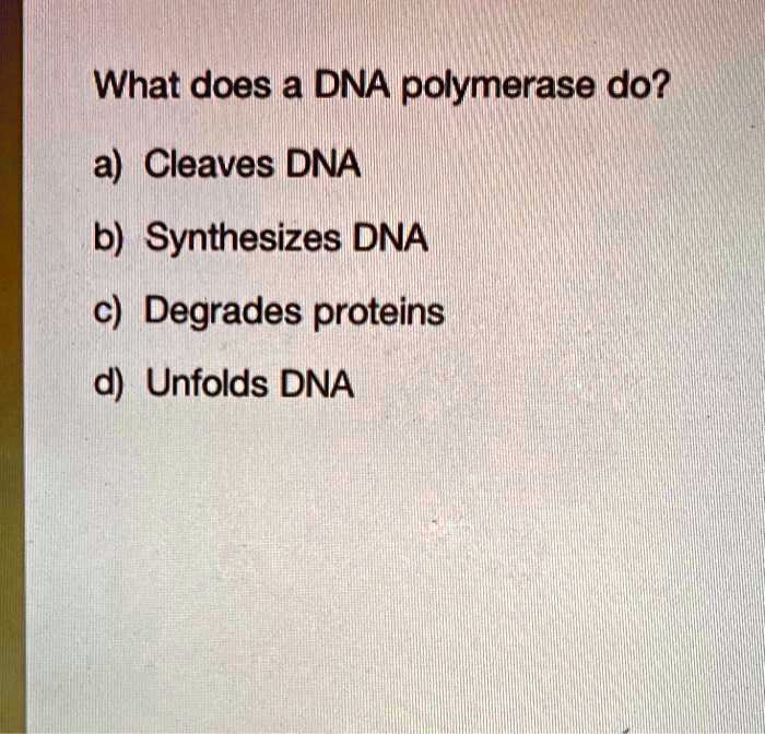 SOLVED What does a DNA polymerase do? a) Cleaves DNA b) Synthesizes