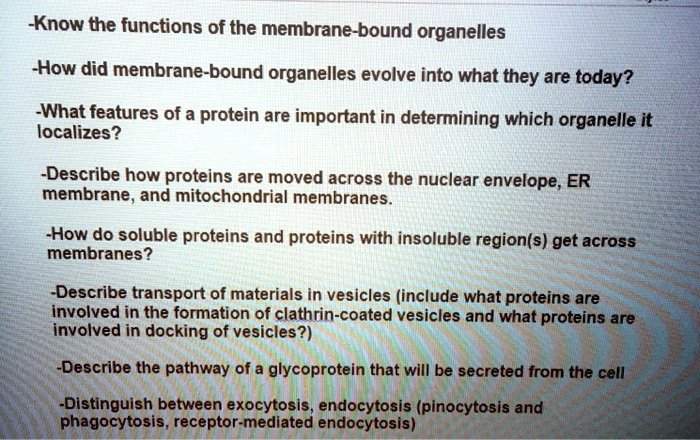 -Know the functions of the membrane-bound organelles
-How did membrane-bound organelles evolve into what they are today?
-What features of a protein are important in determining which organelle it
localizes?
-Describe how proteins are moved across the nuclear envelope, ER
membrane, and mitochondrial membranes.
-How do soluble proteins and proteins with insoluble region(s) get across
membranes?
-Describe transport of materials in vesicles (include what proteins are
involved in the formation of clathrin-coated vesicles and what proteins are
involved in docking of vesicles?)
-Describe the pathway of a glycoprotein that will be secreted from the cell
-Distinguish between exocytosis, endocytosis (pinocytosis and
phagocytosis, receptor-mediated endocytosis)