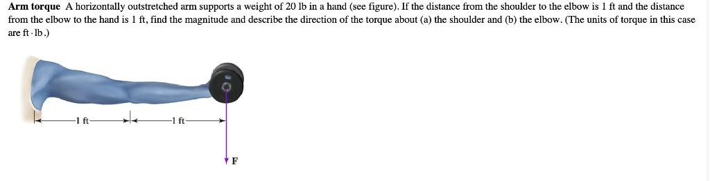 Arm torque A horizontally outstretched arm supports a weight of 20 lb in a hand (see figure). If the distance from the shoulder to the elbow is 1 ft and the distance from the elbow to the hand is 1 ft, find the magnitude and describe the direction of the torque about (a) the shoulder and (b) the elbow. (The units of torque in this case are ft · lb.)
