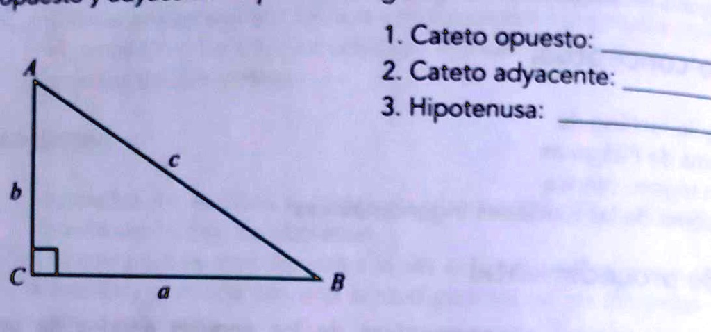 Solved En El Triángulo Rectángulo Que Se Presenta Identifica La Hipotenusa Y Los Catetos 8223