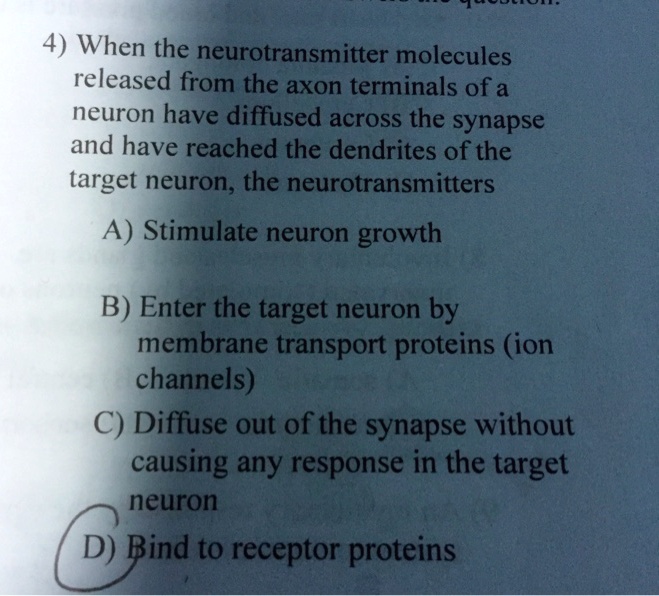 4) When the neurotransmitter molecules
released from the axon terminals of a
neuron have diffused across the synapse
and have reached the dendrites of the
target neuron, the neurotransmitters
A) Stimulate neuron growth
B) Enter the target neuron by
membrane transport proteins (ion
channels)
C) Diffuse out of the synapse without
causing any response in the target
neuron
D) Bind to receptor proteins