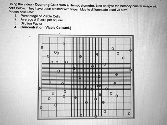 SOLVED Using the video Counting Cells with Hemocytometer, take analyze
